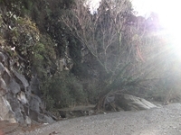 cantara gole23122011 028